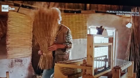 17/09/24 - Il cerchio del riso - Geo