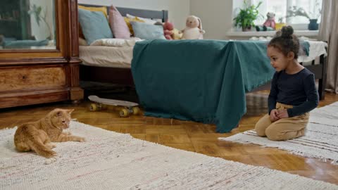 Playing Laser Pointer With A Cat