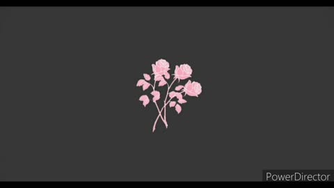 Harmony Haven Live 🎶✨ •Lofi hip hop mix ~ Stress Relief, Relaxing Music
