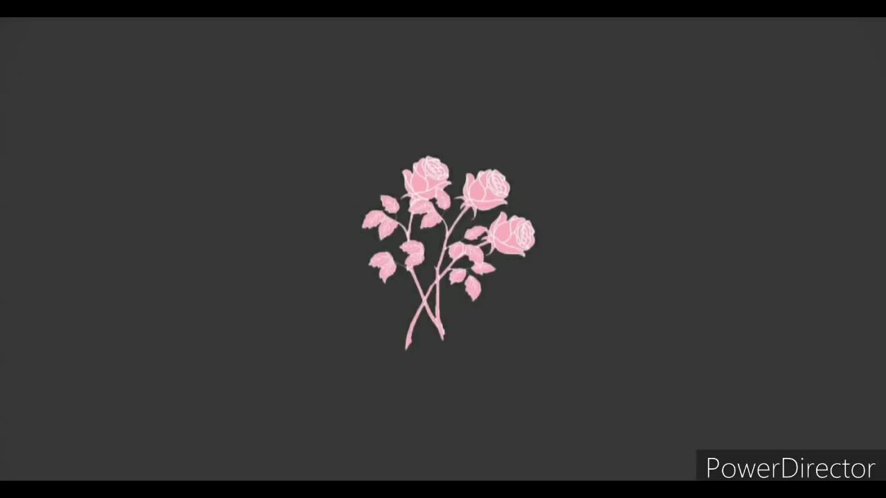 Harmony Haven Live 🎶✨ •Lofi hip hop mix ~ Stress Relief, Relaxing Music