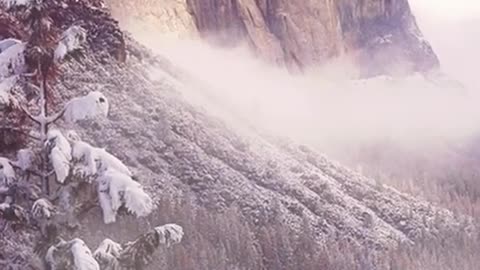 Beautifully soothing music for meditation, sleep, and relaxation
