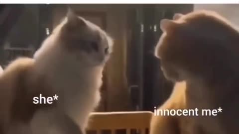 When she's mad and you don't know why!!