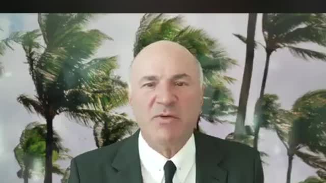 Kevin O'Leary: "Twitter needs adult supervision."