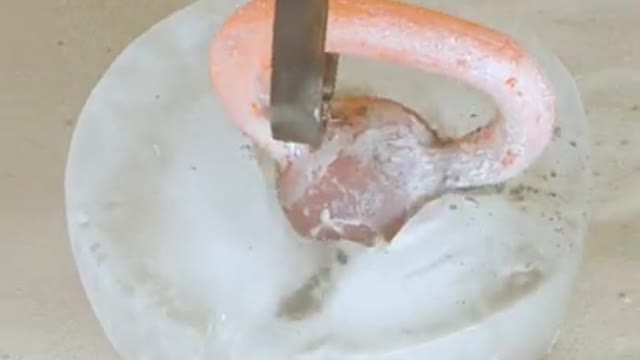 Amazing science tricks