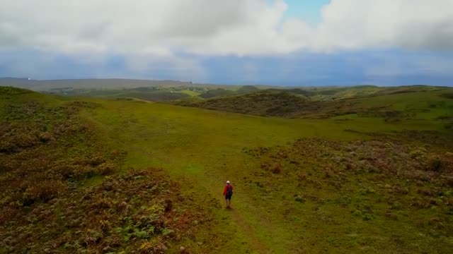 Deretan Hewan Unik Di Kepulauan Galapagos