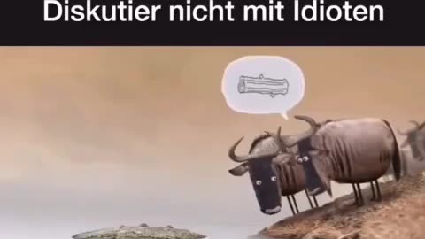 💢 Diskutiere nicht mit den ferngesteuerten