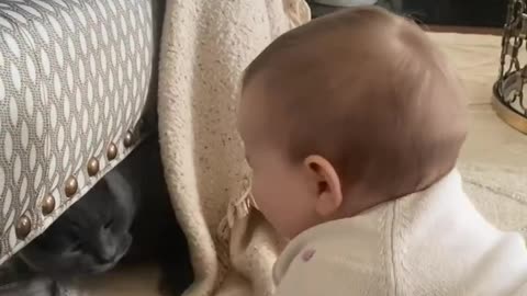 Cute baby videos