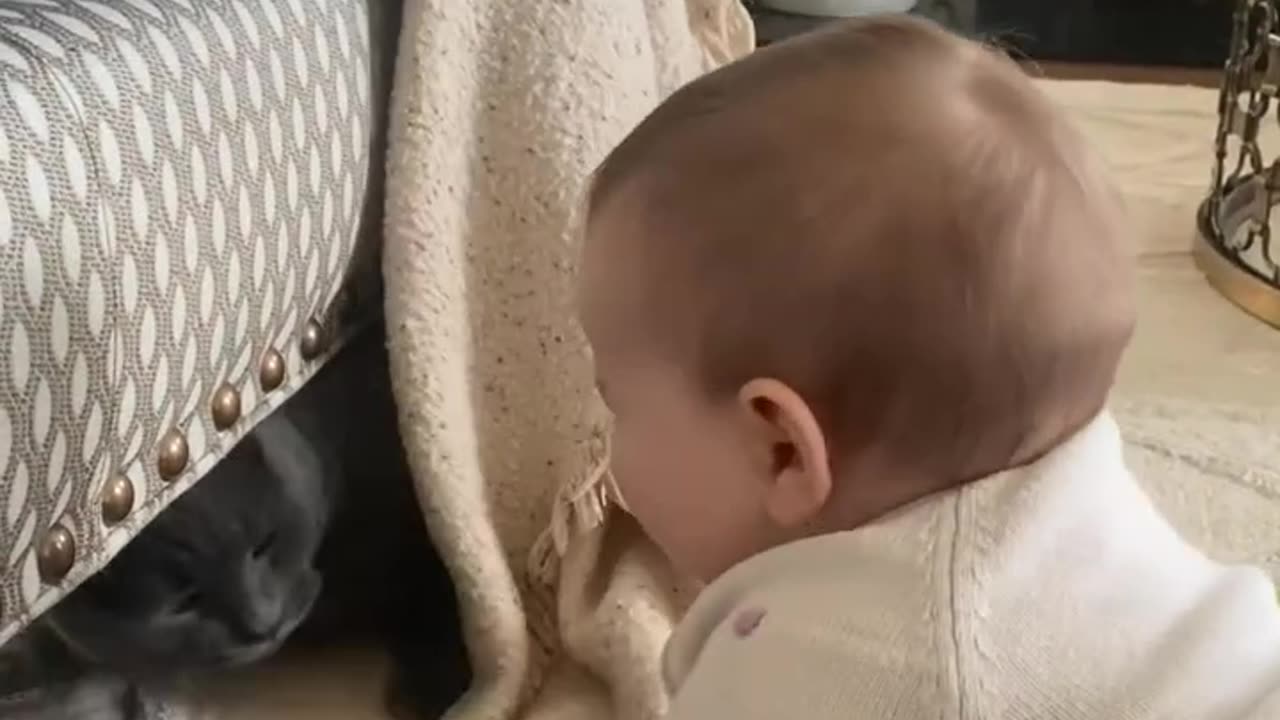 Cute baby videos