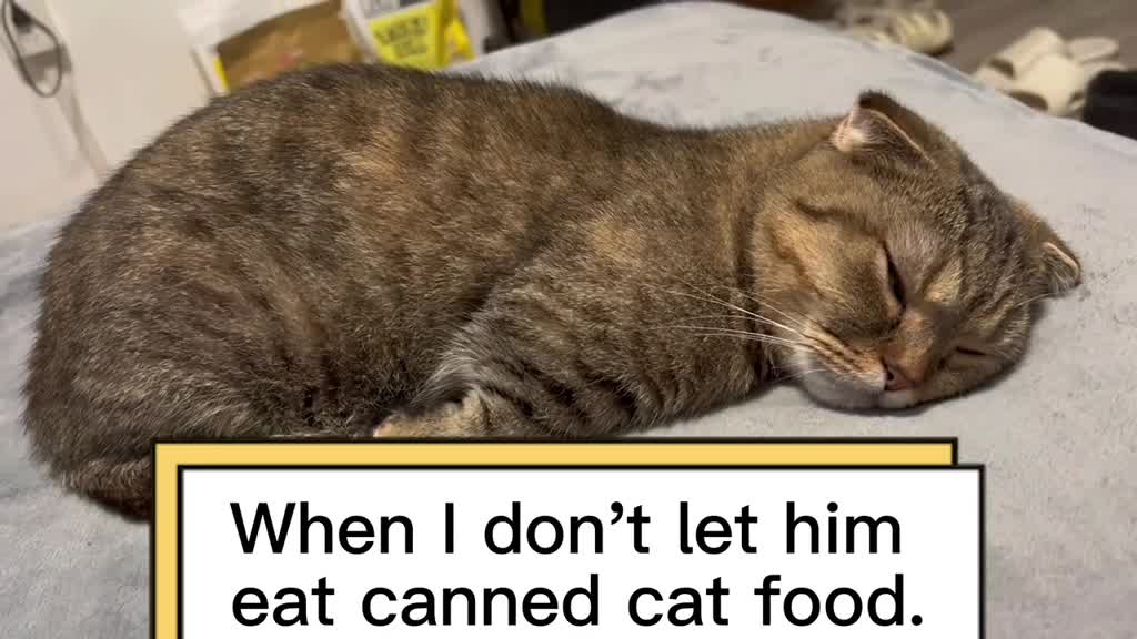 Do not touch me if you don't have a can☹️