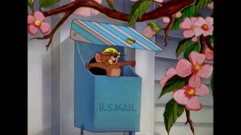 Cartoon videos animated videos