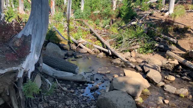 Central Oregon - Mount Jefferson Wilderness - Crossing Canyon Creek towards Wasco Lake