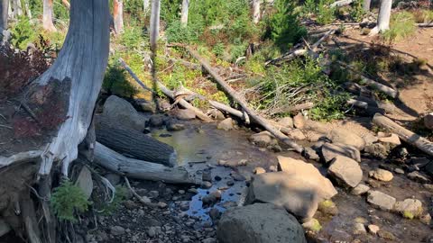 Central Oregon - Mount Jefferson Wilderness - Crossing Canyon Creek towards Wasco Lake