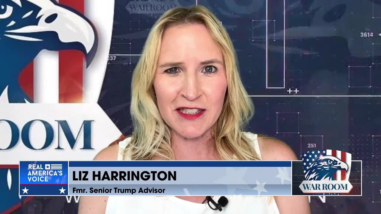 Harrington: We've Been In A Constitutional Crisis Since November 3rd, 2020