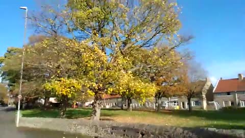 Mark Steele exposing UK council corruption