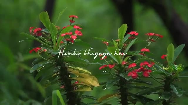Rim jhim yeh sawan lyrics status @Jubin Nautiyal #monsoon #nature #raindrops