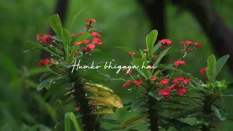 Rim jhim yeh sawan lyrics status @Jubin Nautiyal #monsoon #nature #raindrops