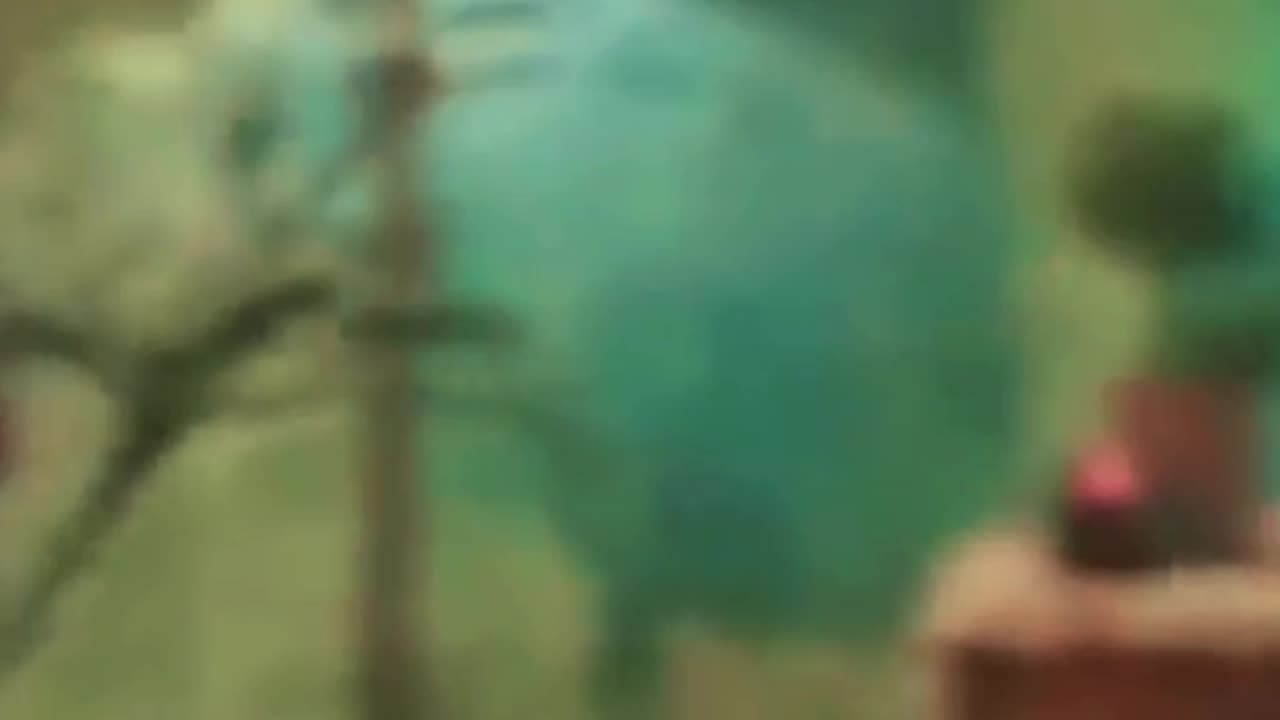 Baby_Calm_Down_FULL_HD___Selena_Gomez___Rema_Official_Music_Video_2023