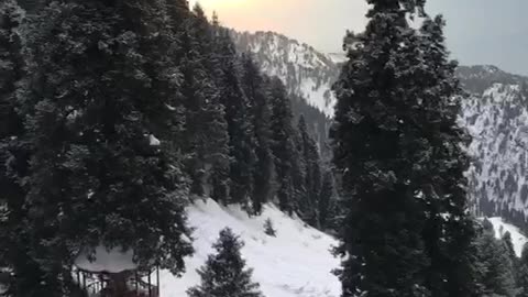 Amazing video