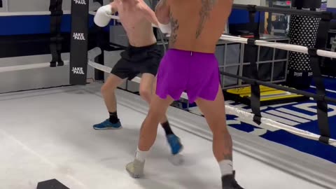 Derek VS Jake Paul boxing match 😱😱😳