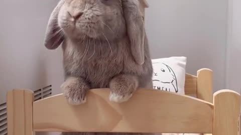 Mommy don't know thatI took a snack