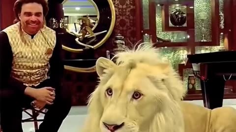 SULTAN