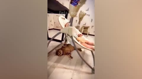 Funniest Animals 2023 🤣🤣 New Funny Cats and Dogs Videos 😹🐶 Part 5
