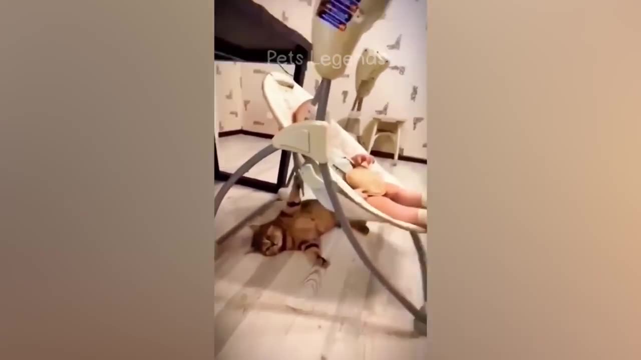 Funniest Animals 2023 🤣🤣 New Funny Cats and Dogs Videos 😹🐶 Part 5