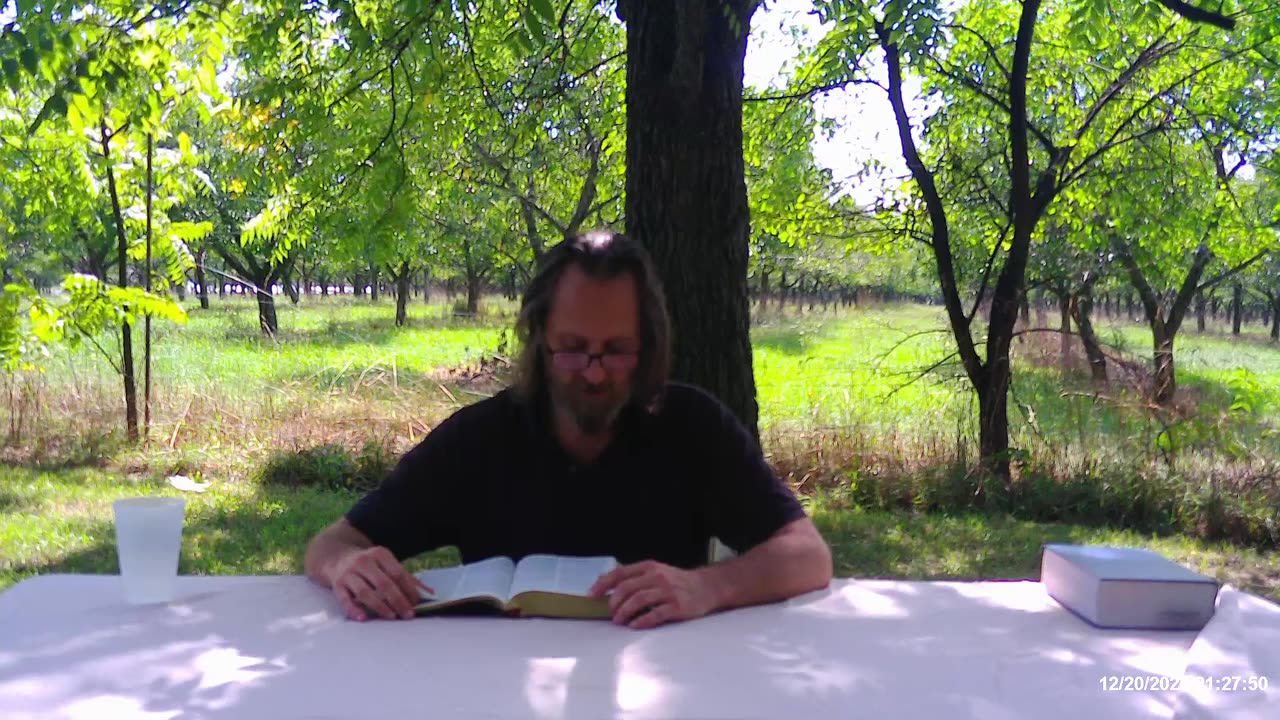 The Revelation 2021 p7