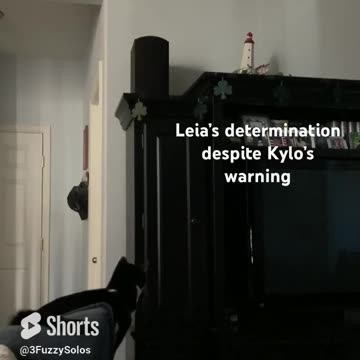 Leia the cat's impossible jump