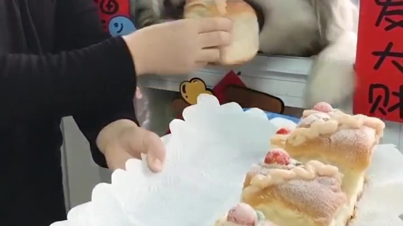 Cute dog waits for his turn ❤️ 😍