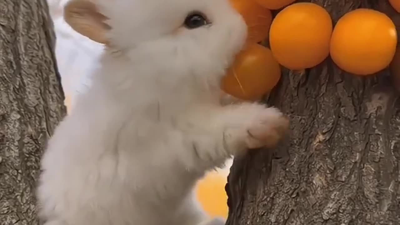 Cute little rabbit eating some food