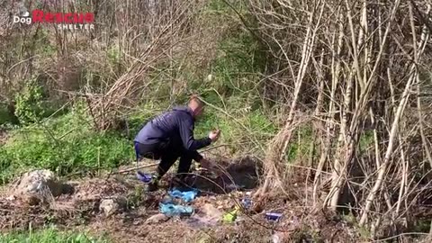 Rescued Abandoned Mama Dog Raising Puppies in the Bushes