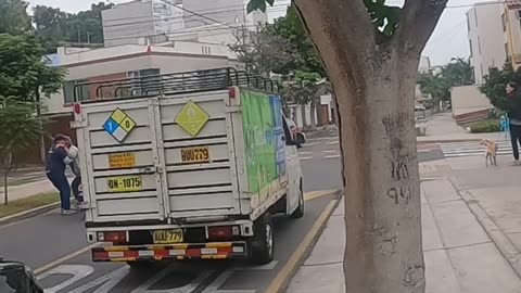 Reckless Driver Hits Street Crossing Elder