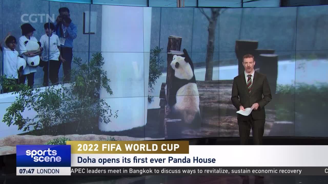 Doha opens its first ever Panda House