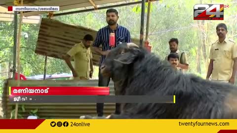 ശബരിമല സന്നിധാനത്തിന്റെ പരിസരത്ത് വന്യമൃഗങ്ങളോട് പൊരുതി ജീവിക്കുന്ന ഒരാൾ