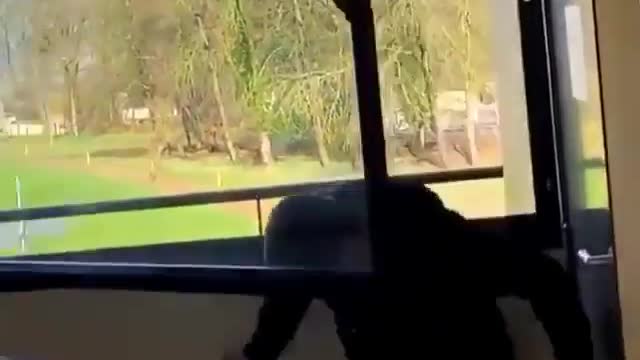 why do i wanna try this