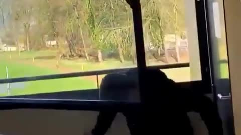 why do i wanna try this