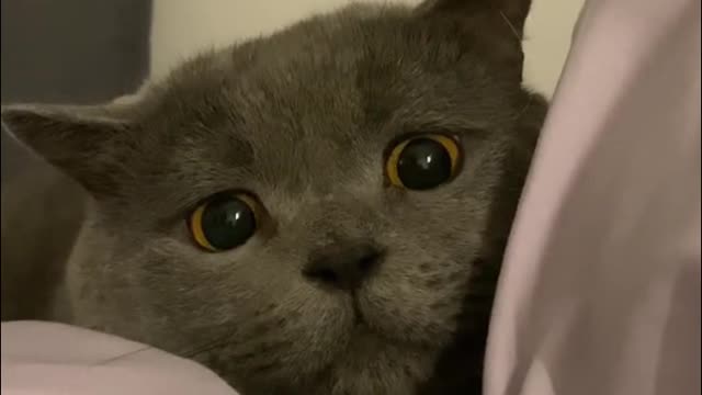 The cute little guy woke up