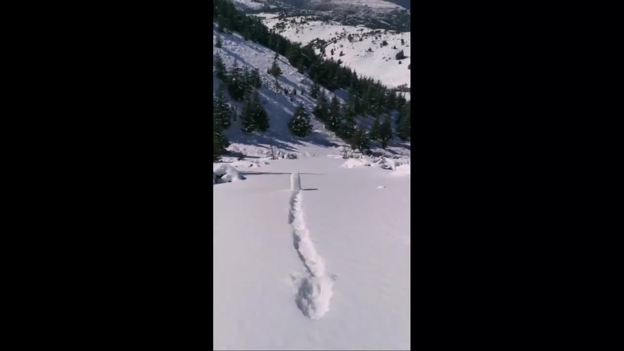 Snowball Rolling Downhill Forms a Giant Wheel