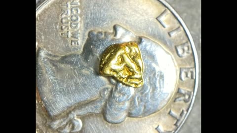 Alaskan Gold Nugget Yukon Small .3g Fine