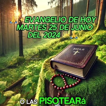 🙏✨Evangelio de HOY Martes 25 de Junio del 2024 ✨🙏