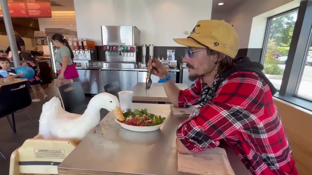 i took my duck to Chipotle