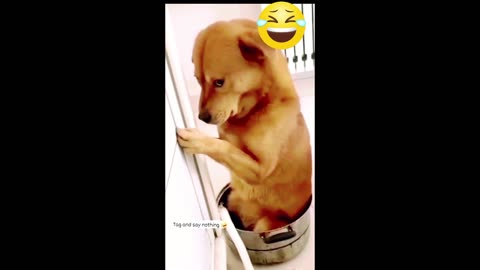 Viral funny Video 😱🤣😜