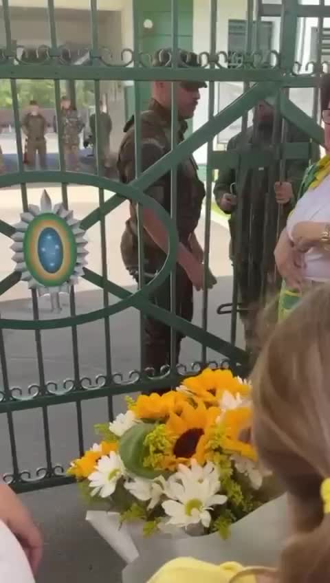 Young Brazilian girl hands flowers and flag to the military.