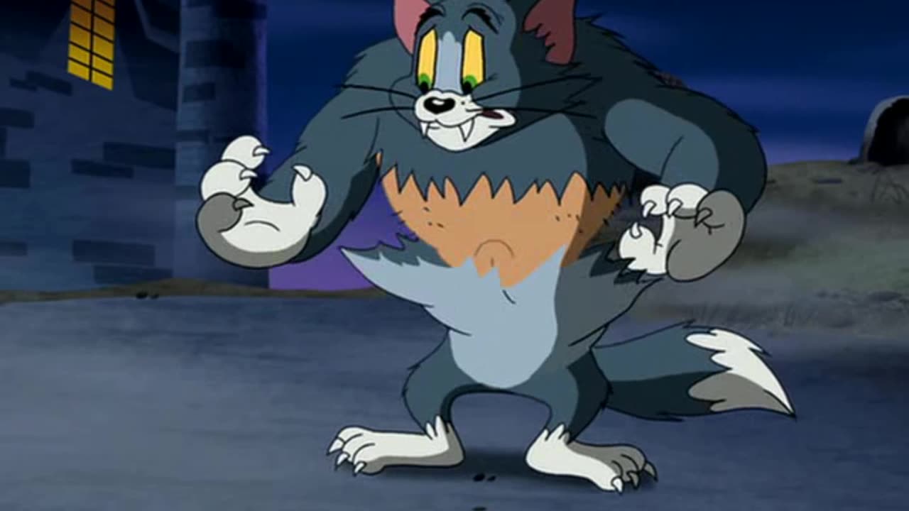 Tom and Jerry Lovers | Funny Cartoon Videos | Tom and Jerry