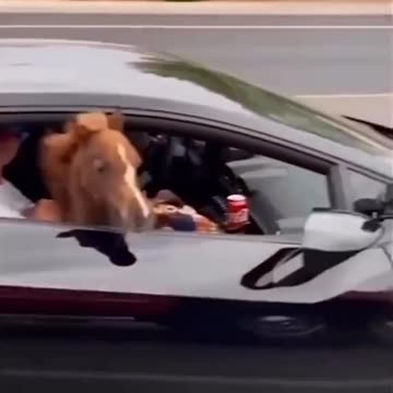 Extra horse power