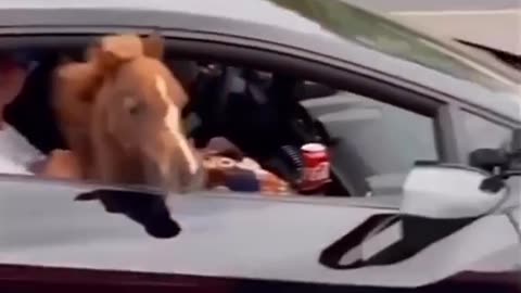 Extra horse power