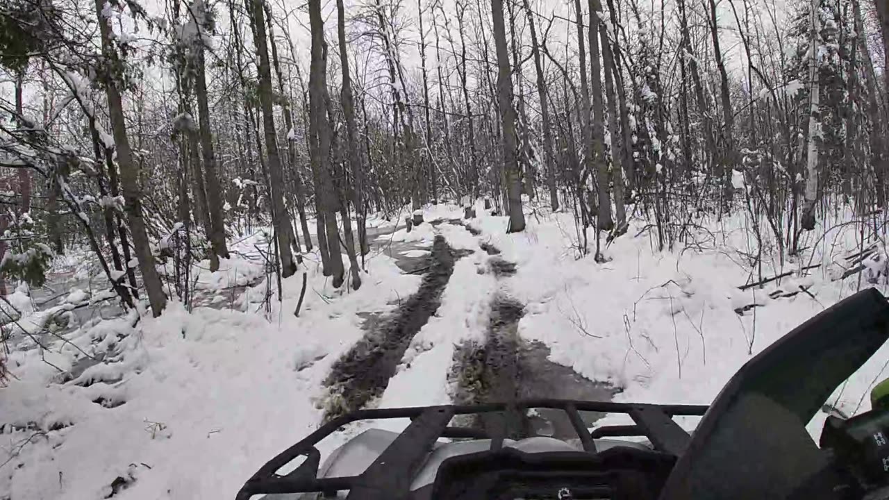 Snow seeding cool season crops