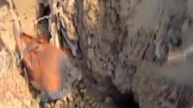 The bird attacks the snake in another1