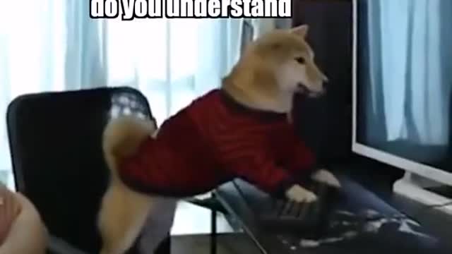 What have you done_